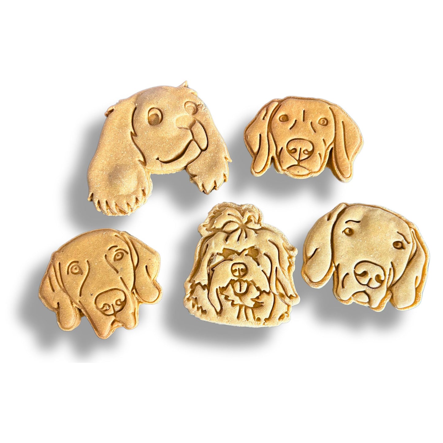 Come tu mi vuoi - Biscotti personalizzati con il volto del tuo cane o gatto