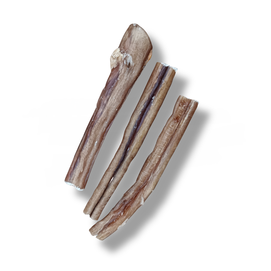 Verga di toro  – Masticativo Naturale per cani